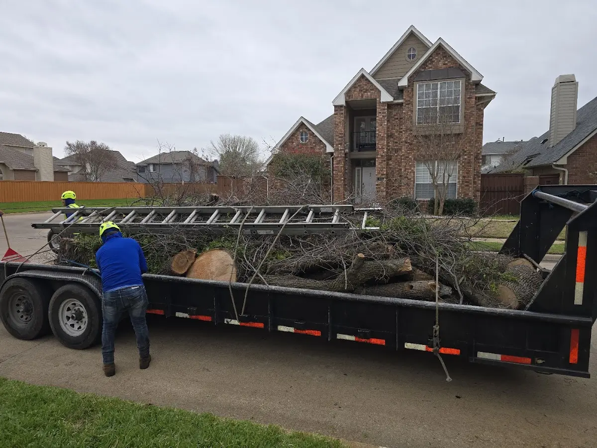 Expert Tree Pest Control with proper safety equipment in West Suffield